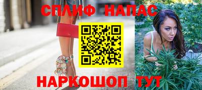 молекула духа Гатчина